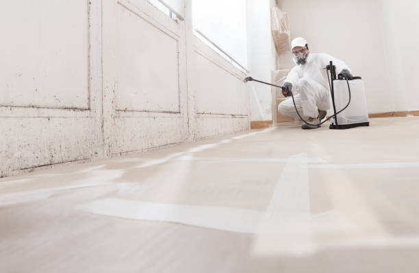 24/7 Emergency Mold Remediation experts in Chantilly, VA