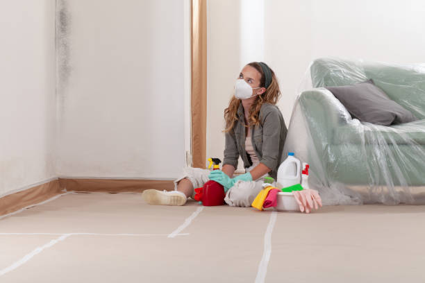 Reliable Mold Remediation contractor in Chantilly, VA by Cheap Mold Removal
